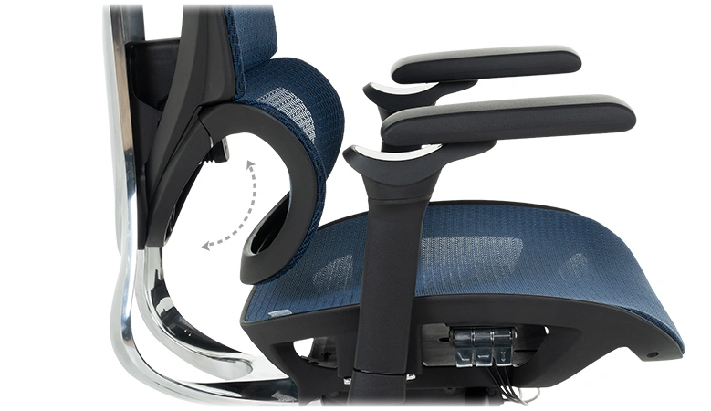 Лумбална опора – Здраве за кръста