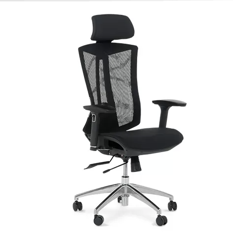 Люлеещ механизъм