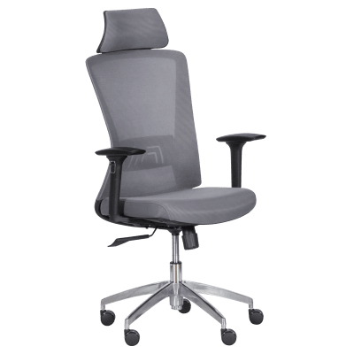 Ергономичен стол Carmen 7542 - Сив