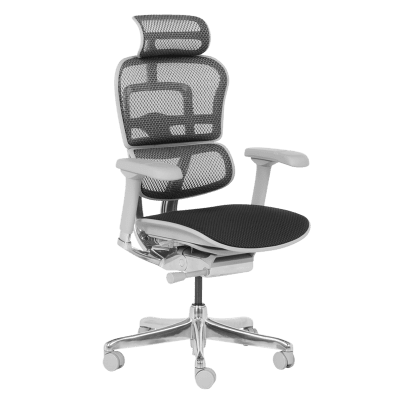 Ергономичен стол Ergohuman Elite 2 - Сив/Черен