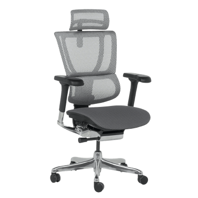 Ергономичен стол Ergohuman IOO Elite 2 - Черен/Сив