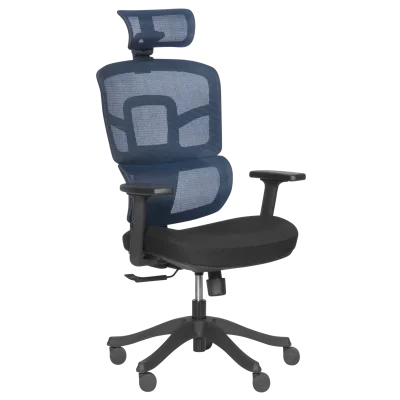 Ергономичен стол Carmen 7582 - Черен/Син