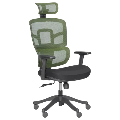 Ергономичен стол Carmen 7582 - Черен/Зелен