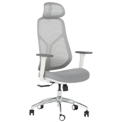 Ергономичен стол Carmen 7901 W - Сив