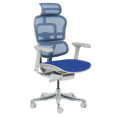 Ергономичен стол Ergohuman Elite 2 - Сив/Син