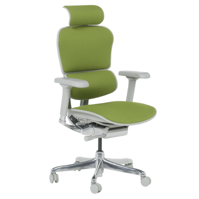 Ергономичен стол Ergohuman Elite 2 - Сив/Зелен