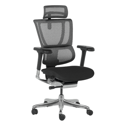 Ергономичен стол Ergohuman IOO Elite 2 - Черен/Черен