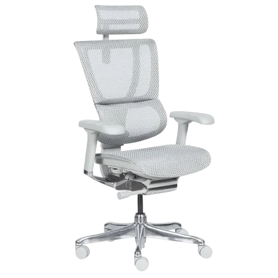 Ергономичен стол Ergohuman IOO Elite 2 - Сив/Сив