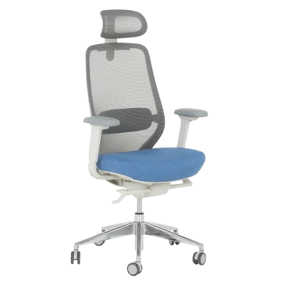 Ергономичен стол Carmen Gland - Син/Сив