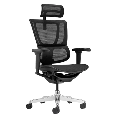 Ергономичен стол Ergohuman IOO Ultra - Черен