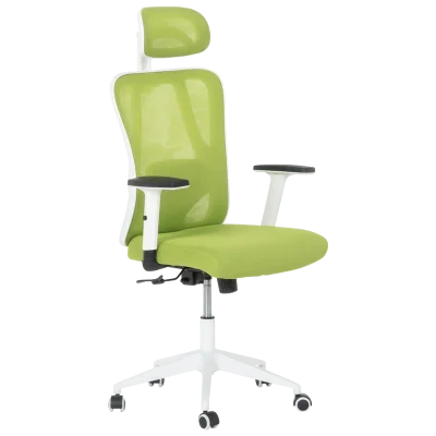 Ергономичен стол Carmen 7588 - Зелен