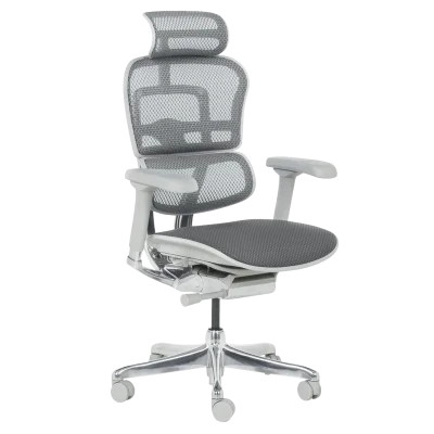 Ергономичен стол Ergohuman Elite 2 - Сив/Сив