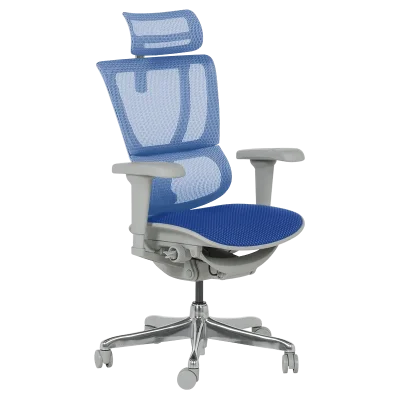 Ергономичен стол Ergohuman IOO Ultra - Син