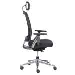 Ергономичен стол ALBI - черен