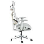 Ергономичен стол Carmen Dojon - Сив