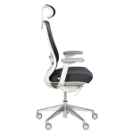 Ергономичен стол Gland - Черен