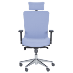 Ергономичен стол COTIA - син