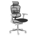 Ергономичен стол ERGOHUMAN ELITE 2 - сива рамка - черен