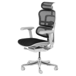 Ергономичен стол ERGOHUMAN ELITE 2 - сива рамка - черен