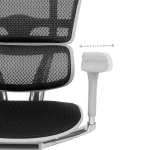 Ергономичен стол ERGOHUMAN ELITE 2 - сива рамка - черен