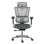 Ергономичен стол ERGOHUMAN IOO ELITE 2 - черна рамка - сив