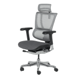 Ергономичен стол ERGOHUMAN IOO ELITE 2 - черна рамка - сив