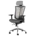 Ергономичен стол Carmen 7577 - Сив