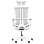 Ергономичен стол Carmen 7574 - Сив