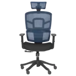 Ергономичен стол Carmen 7582 - Черен/Син