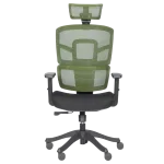 Ергономичен стол Carmen 7582 - Черен/Зелен