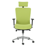 Ергономичен стол Cotia - зелен