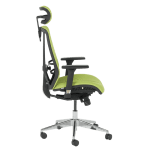 Ергономичен стол Cotia - зелен