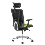 Ергономичен стол Cotia - зелен