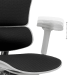 Ергономичен стол Ergohuman Elite 2 - Сив/Черен