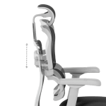 Ергономичен стол Ergohuman Elite 2 - Сив/Черен