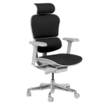 Ергономичен стол Ergohuman Elite 2 - Сив/Черен