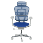 Ергономичен стол Ergohuman Elite 2 - Сив/Син