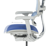 Ергономичен стол Ergohuman Elite 2 - Сив/Син