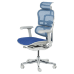 Ергономичен стол Ergohuman Elite 2 - Сив/Син