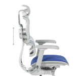 Ергономичен стол Ergohuman Elite 2 - Сив/Син