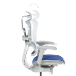 Ергономичен стол Ergohuman Elite 2 - Сив/Син