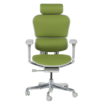 Ергономичен стол Ergohuman Elite 2 - Сив/Зелен