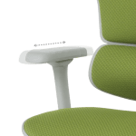 Ергономичен стол Ergohuman Elite 2 - Сив/Зелен
