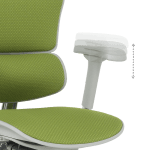 Ергономичен стол Ergohuman Elite 2 - Сив/Зелен