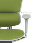 Ергономичен стол Ergohuman Elite 2 - Сив/Зелен