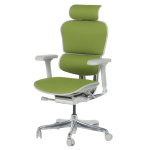 Ергономичен стол Ergohuman Elite 2 - Сив/Зелен