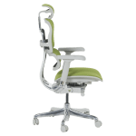 Ергономичен стол Ergohuman Elite 2 - Сив/Зелен