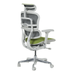 Ергономичен стол Ergohuman Elite 2 - Сив/Зелен