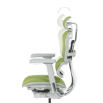 Ергономичен стол Ergohuman Elite 2 - Сив/Зелен