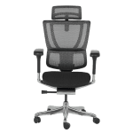 Ергономичен стол Ergohuman IOO Elite 2 - Черен/Черен